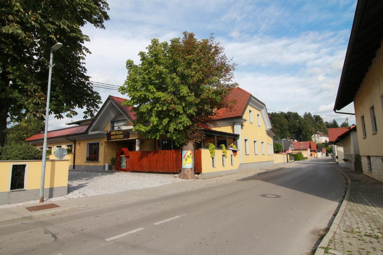 Penzion Repansek Radomlje Buitenkant foto